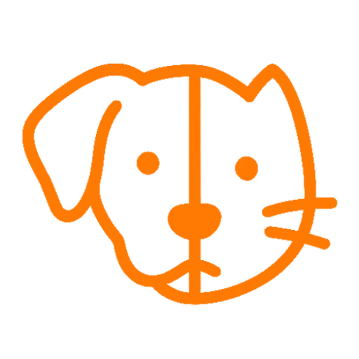 cropped five com.webp