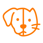 cropped five com.webp